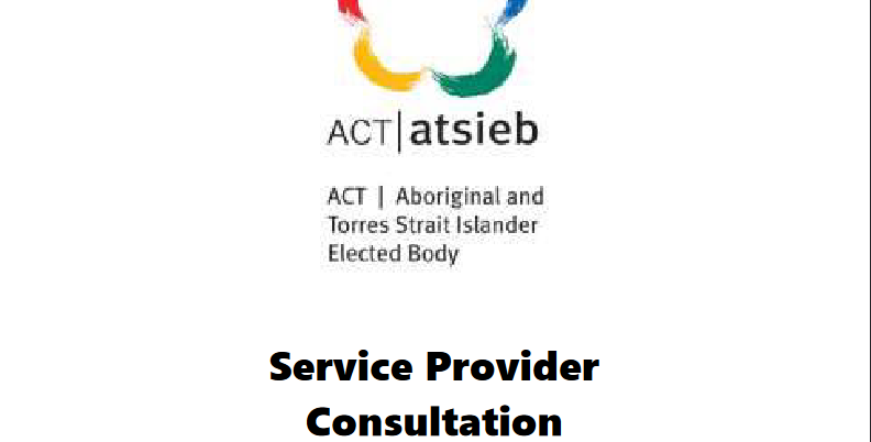 ATSIEB Report on Service Provider Consultation