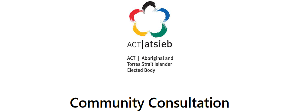 ATSIEB Report on Child Protection and Family Violence Consultation