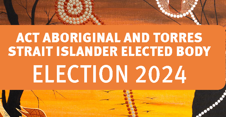 Declaration of candidates for the 2024 Aboriginal and Torres Strait Islander Elected Body